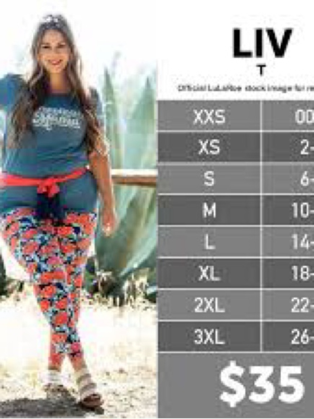 Lularoe Liv T Top - Picture 4 of 4
